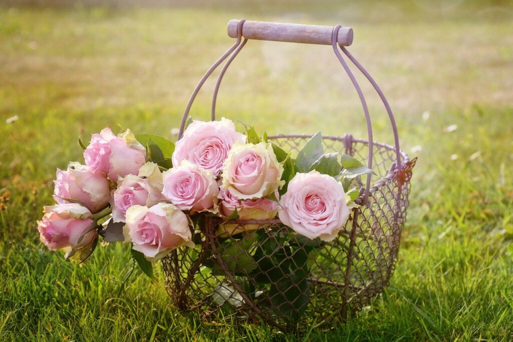 beautiful roses in a basket