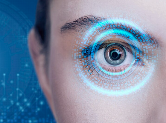 Augmented Reality Features in Smart Contact Lenses