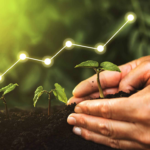 Celebrity Wealth Insights: How Stars Build, Protect, and Grow Massive Fortunes