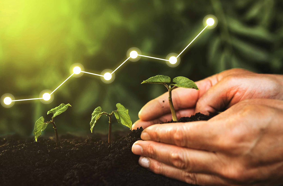 Celebrity Wealth Insights