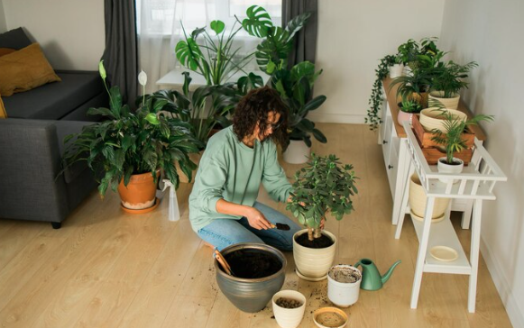 Nature Integrated The Biophilic Approach