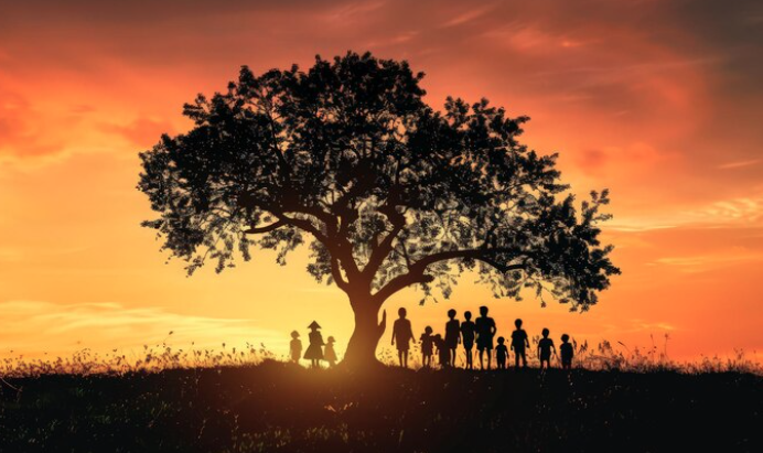 The Journey Through Generations