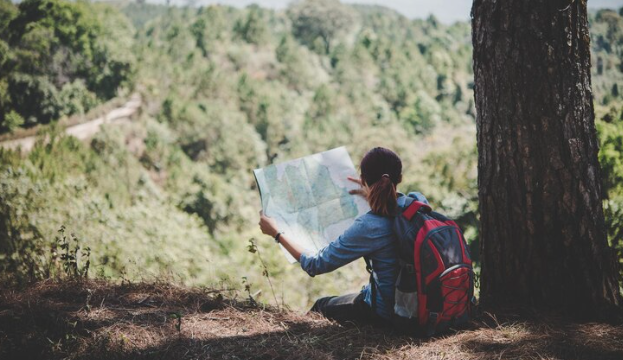 Understanding Choose Your Own Adventure Content