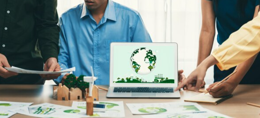 Understanding Regenerative Companies