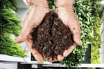 Composting at Home: A Guide to Getting Started 