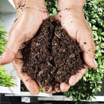 Composting at Home: A Guide to Getting Started