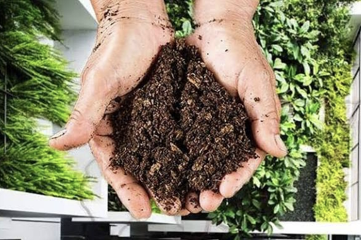 Composting at Home: A Guide to Getting Started