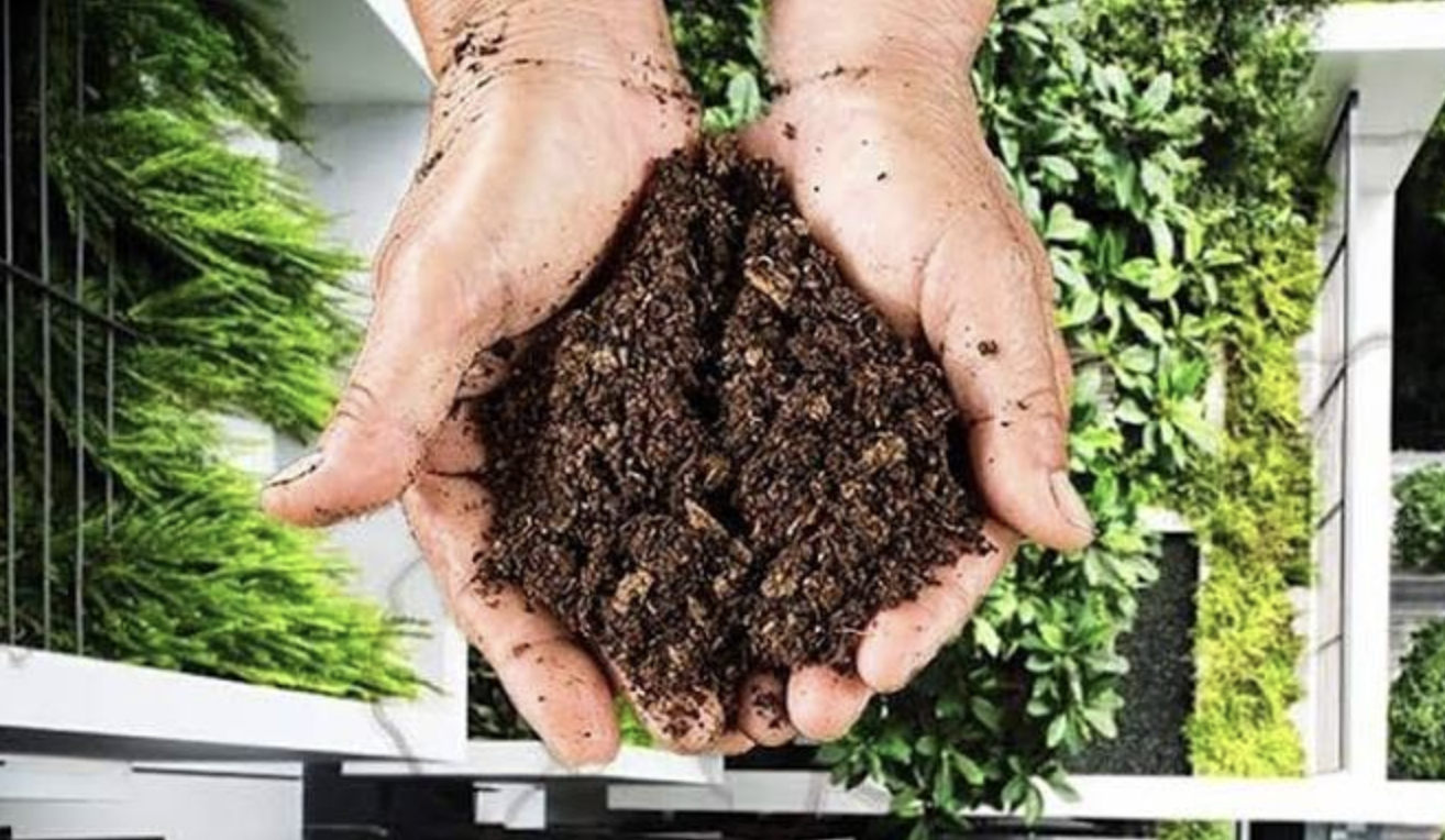 Composting at Home: A Guide to Getting Started