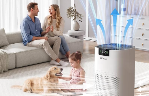 Air Purifiers: Sizing, Filters and Running Costs for a Healthier Home
